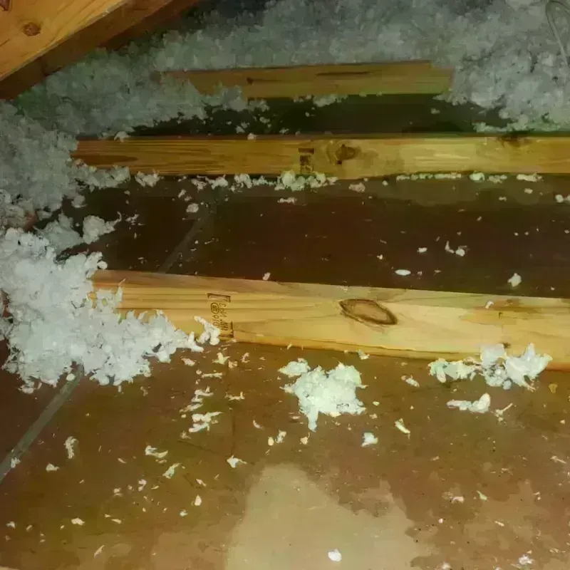 Attic Water Damage in Pierre Part, LA