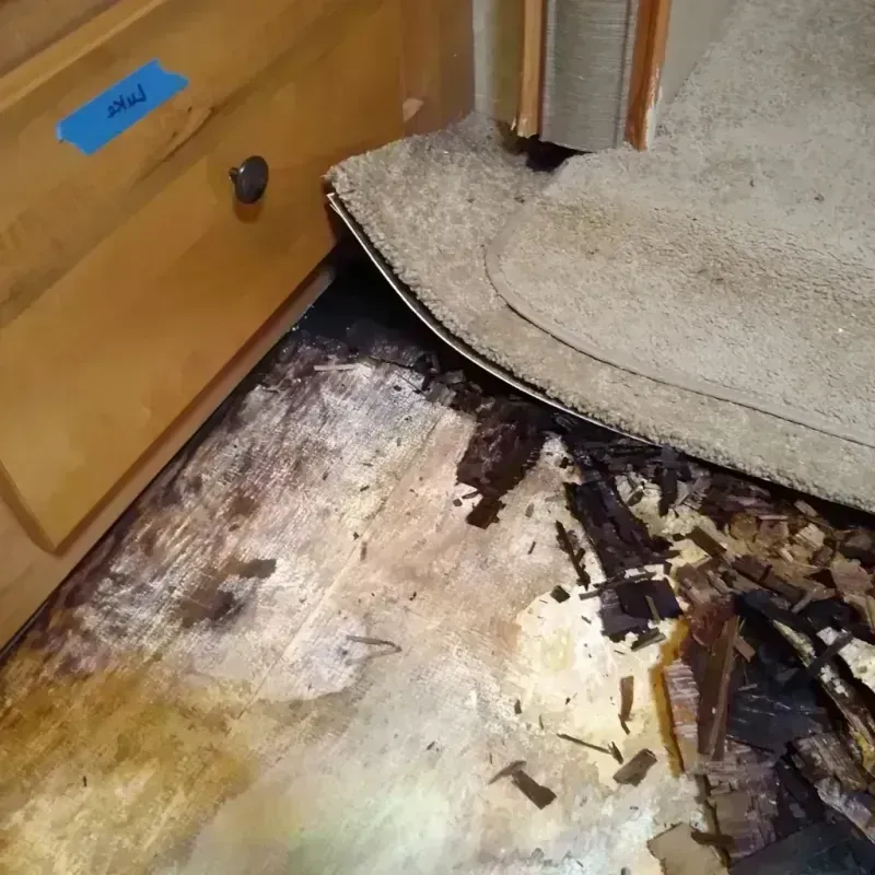 Wood Floor Water Damage in Pierre Part, LA